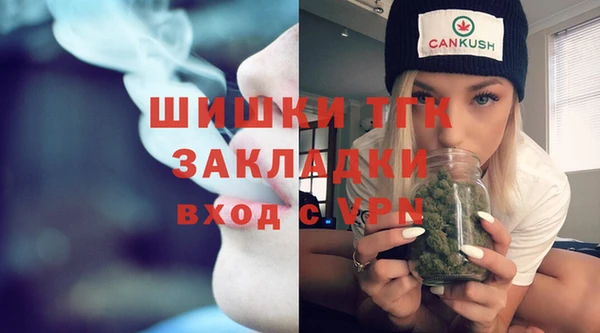 трава Бородино