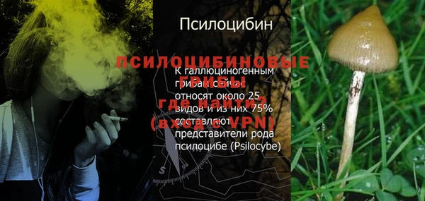 ALPHA PVP Бугульма