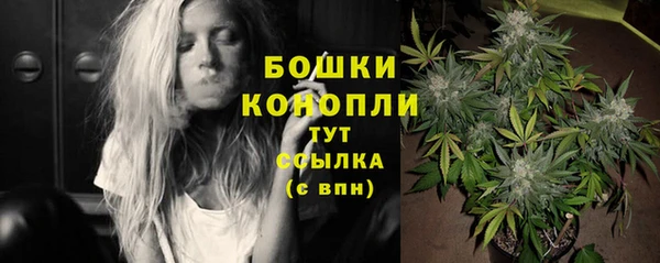 трава Бородино