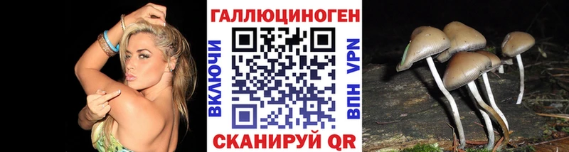 где продают   Назарово  Псилоцибиновые грибы мухоморы 